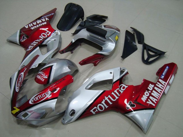 Fortuna Carenagem Moto R1 2000-2001